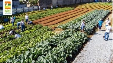 Horta Urbana São Mateus (+) Parque Urbano do Carmo - Olavo Egydio Setúbal | Itaquera